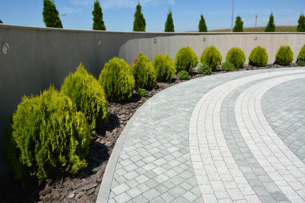 Best Commercial Driveway Paving in San Marino, CA